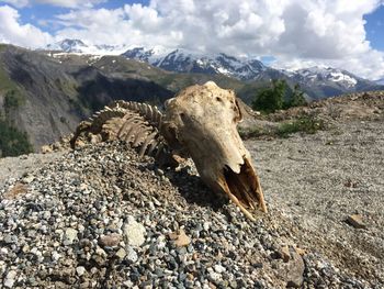 Close-up of mountain range against sky