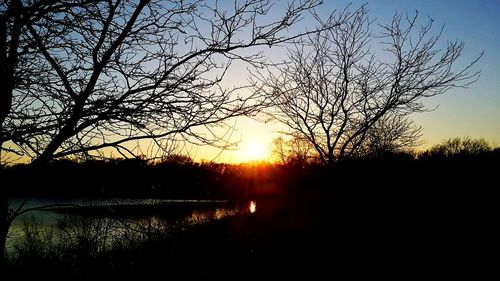 Silhouette trees against sky during sunset