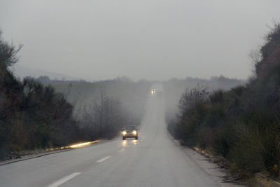 Road passing through forest