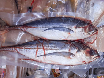 High angle view of fish for sale in market