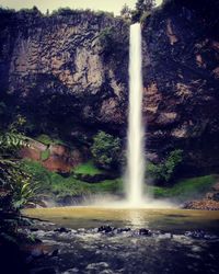 Scenic view of waterfall in forest