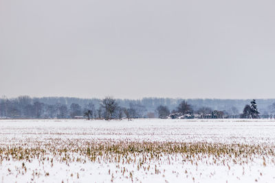 Scenic view of field against clear sky during winter