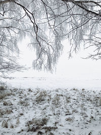 Scenic view of snow covered field against sky