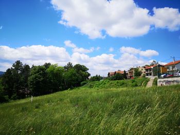 Trees and houses on field against sky