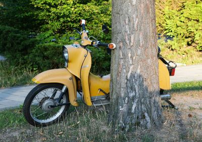 Yellow scooter parked by tree trunk