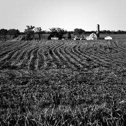 Rural landscape