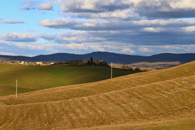 Scenic view of field against sky