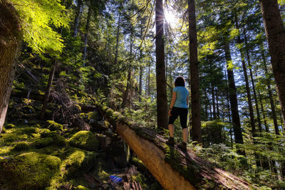 Man standing by trees in forest