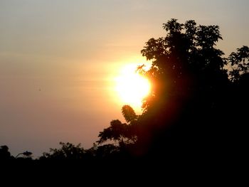 Silhouette trees against sky during sunset