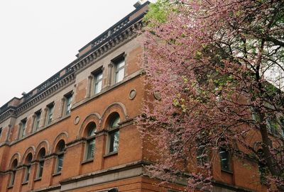 Low angle view of building against sky