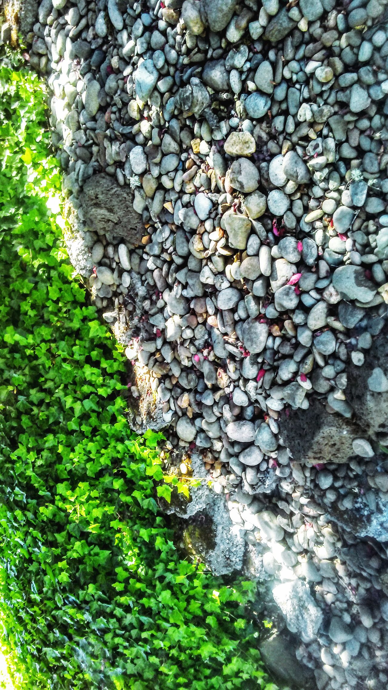 Beauty in rocks