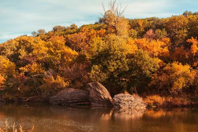 Trees by lake against sky during autumn