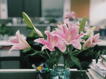 Close-up of pink flowers in vase