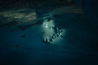 High angle view of fishes swimming in sea