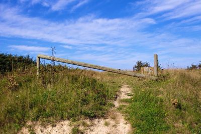 Scenic view of grassy field against sky