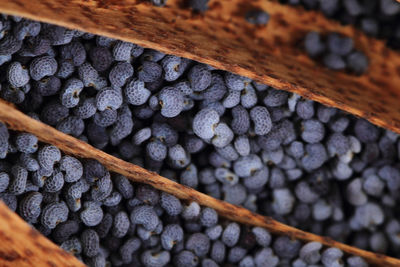 High angle view of berries on wood