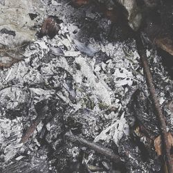 Close-up of snow on rock