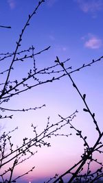 Low angle view of silhouette birds against sky