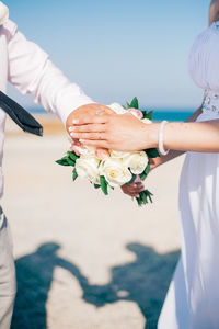 Close-up of cropped hand holding plant