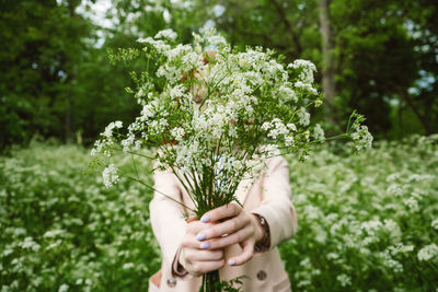 Woman holding flowering plant in forest