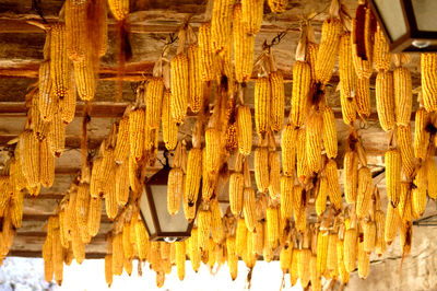 Full frame shot of bell hanging from ceiling