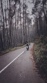 Road amidst trees in forest