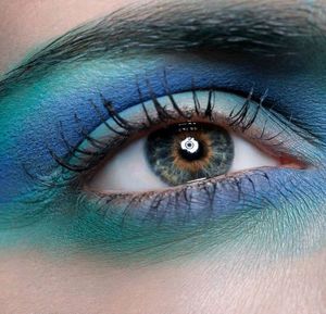 human eye