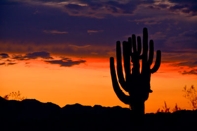 Silhouette cactus on field against sky during sunset