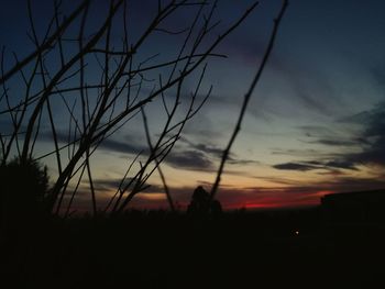 Silhouette plants against sky at sunset