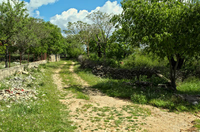 View of trees on landscape against sky