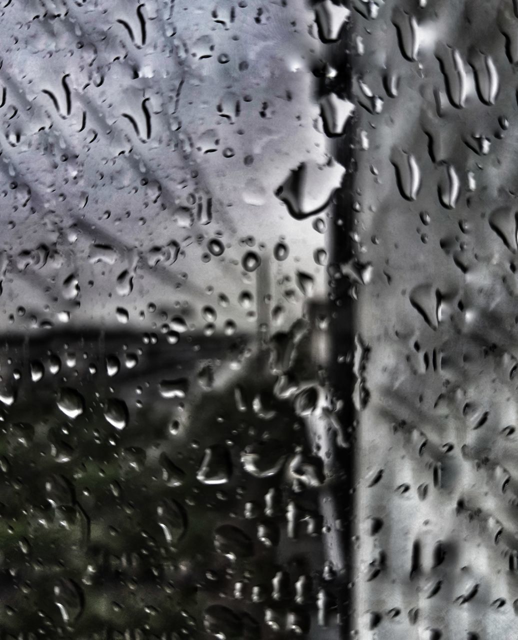 drop, wet, rain, window, water, glass, full frame, backgrounds, raindrop, transparent, monochrome, no people, freezing, black and white, close-up, nature, rainy season, indoors, drizzle, snow, monsoon, car, day, leaf, mode of transportation, monochrome photography, pattern, motor vehicle, transportation, focus on foreground, vehicle interior, macro photography