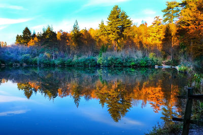 Reflection of trees in lake against sky