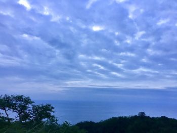 Scenic view of tree against sky