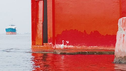 Reflection of trees in water