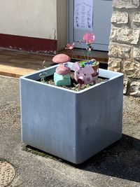 High angle view of flower pots on wall
