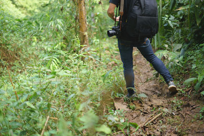 Low section of man walking in forest