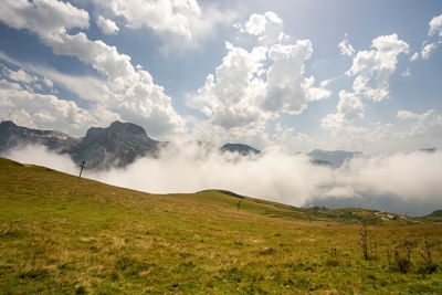 Scenic view of landscape against sky