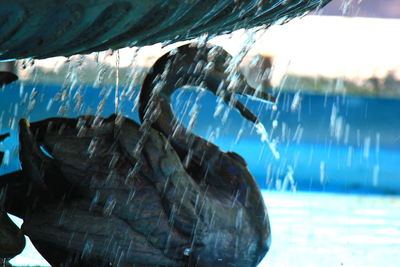 Close-up of swimming pool