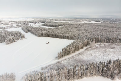 A tiny barn house stands on the snowy fields in the middle of forest. 