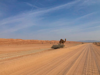 Scenic view of desert against sky