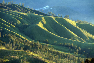 High angle view of landscape