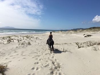 Rear view of woman riding horse at pakiri beach against sky