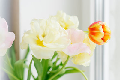 A delicate bouquet of tulips on the window. the arrival of spring, march 8, easter, mother's day. 