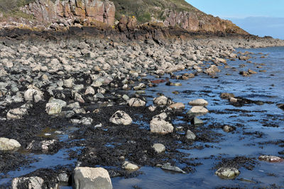 Rocks on beach against sky