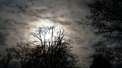 Low angle view of bare trees against cloudy sky