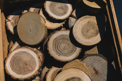 Full frame shot of logs in forest