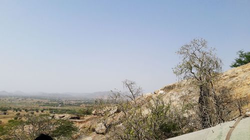 Scenic view of landscape against clear sky