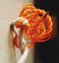 Close-up of orange flowers against blurred background