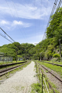 Railroad tracks amidst trees against sky