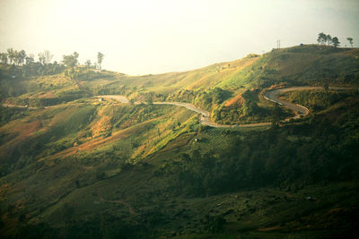 Scenic view of landscape against clear sky